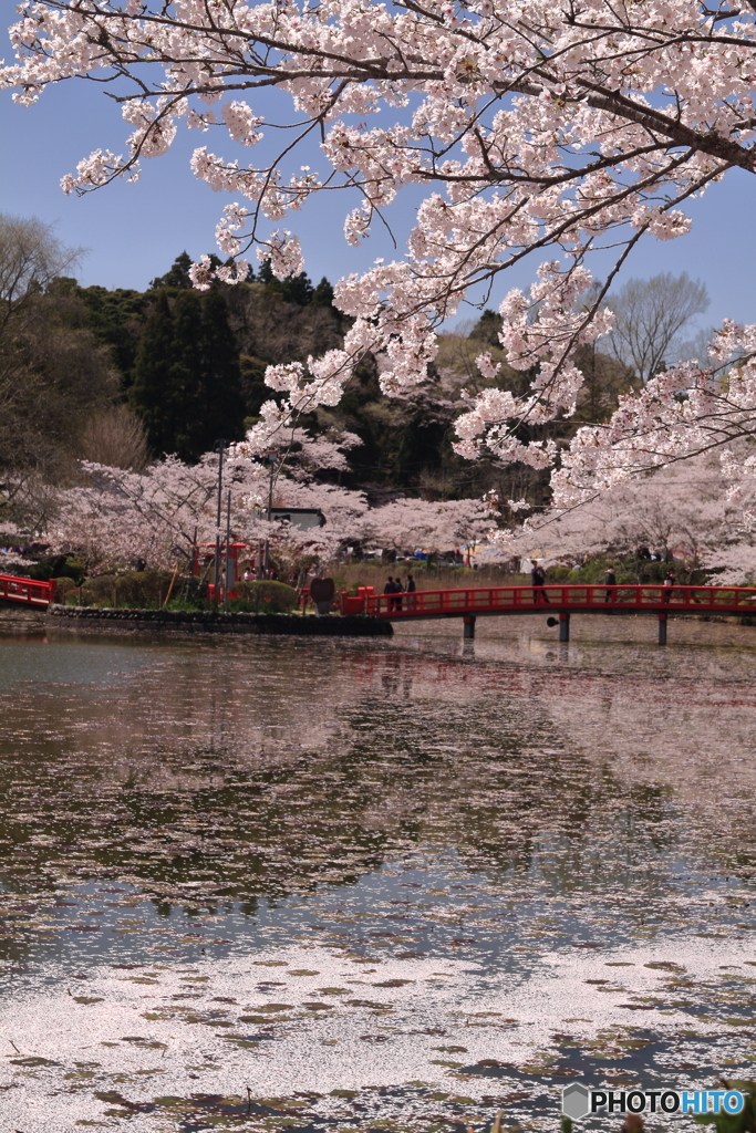 茂原公園
