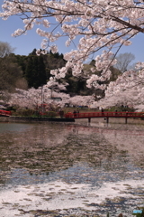 茂原公園