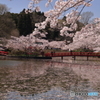 茂原公園