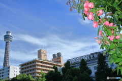 想いでの場所