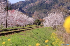 通過待ち