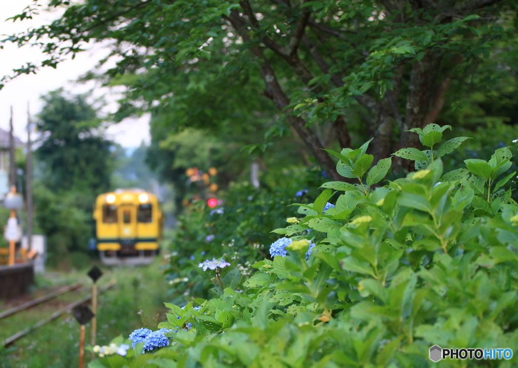いすみ鉄道