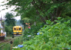 いすみ鉄道