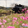 里山トロッコ列車