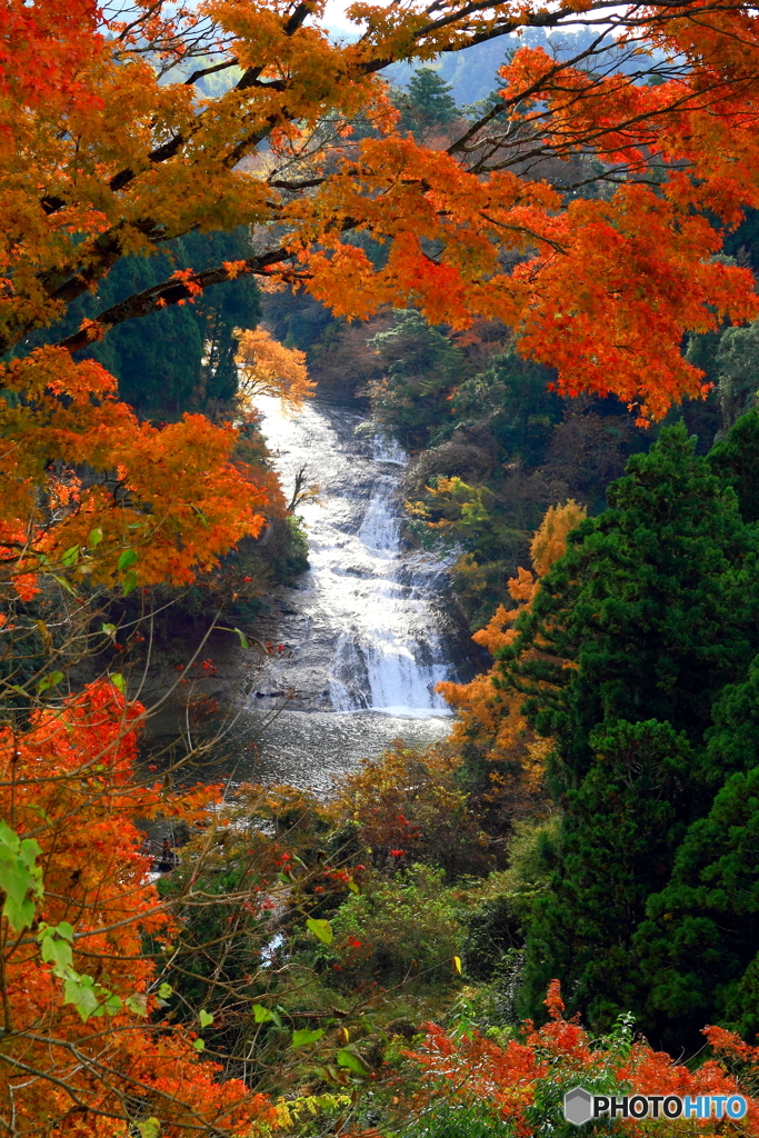 粟又の滝
