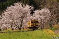 発車オーライ