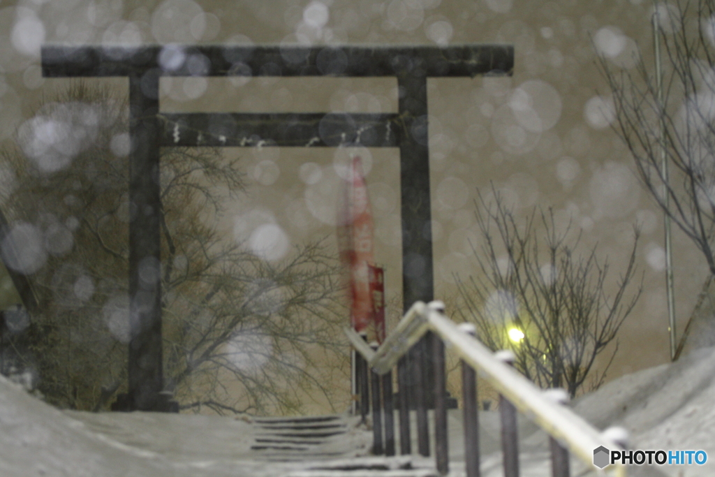 今年２度目の雪