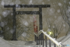 今年２度目の雪
