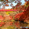泉自然公園の紅葉