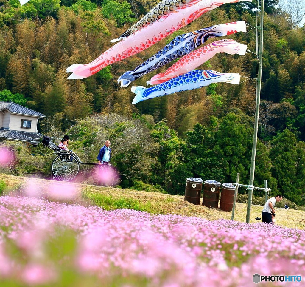 大多喜レンゲ祭り