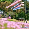 大多喜レンゲ祭り