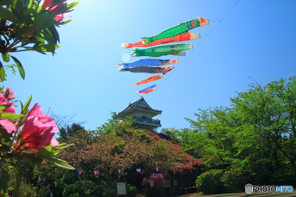 天高く～