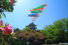 天高く～