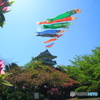 天高く～