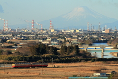 今年の初撮りから