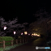 桜祭り
