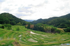 大山千枚田