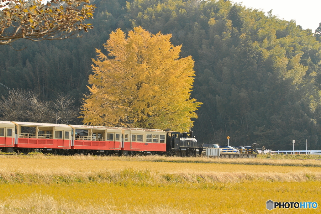 小湊鉄道の秋