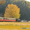 小湊鉄道の秋