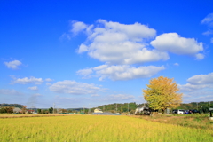 里の秋