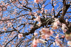 空を見上げて