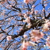 空を見上げて