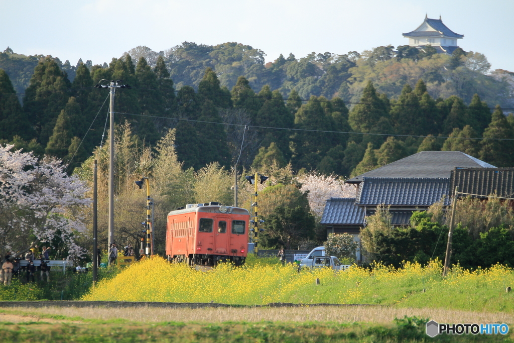 いすみ鉄道-2