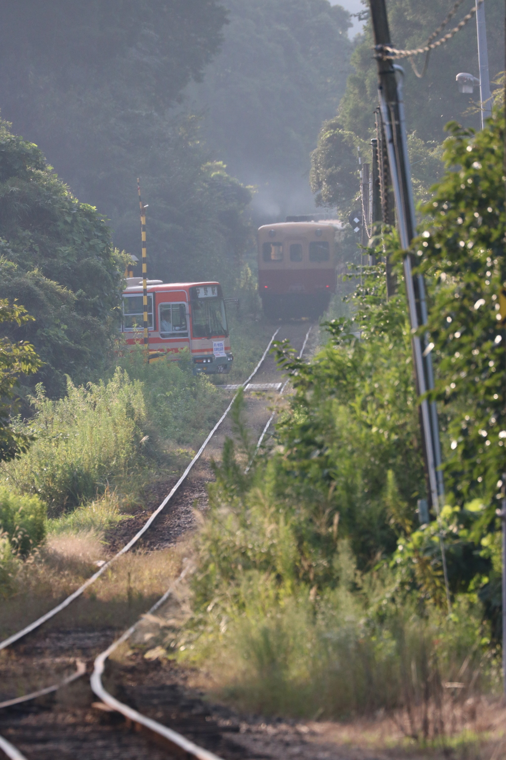 バスと鉄道のコラボ