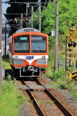 流鉄さんぽ  鰭ヶ崎駅②