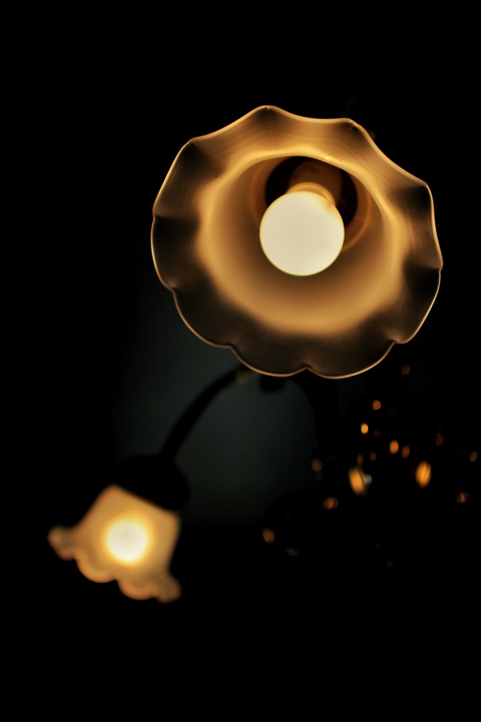 光の花