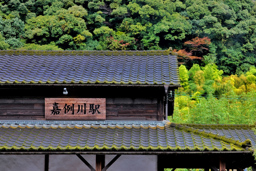 歴史