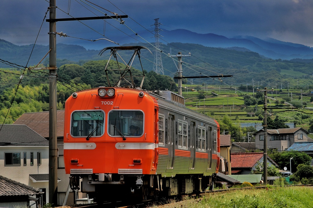 岳南電車と茶畑