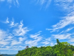 犬山城