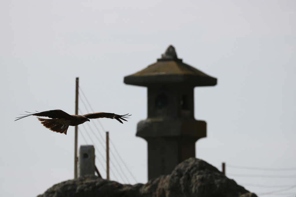 江ノ島