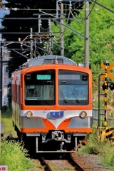 流鉄さんぽ  鰭ヶ崎駅③