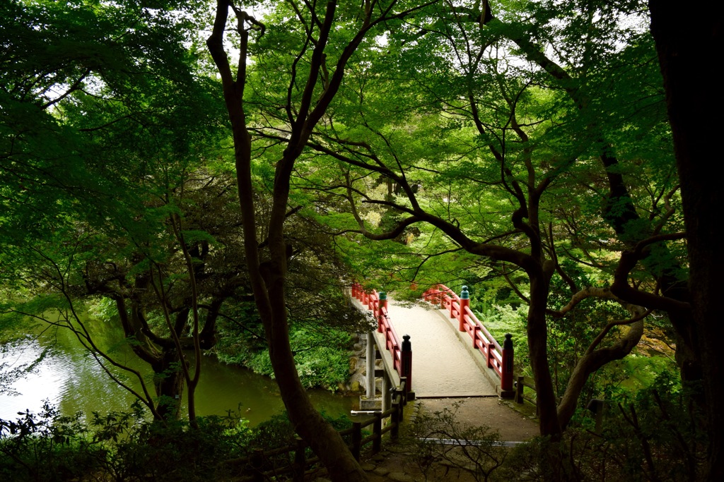 緑と橋