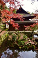 定光寺の紅葉