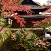 定光寺の紅葉