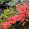 紅葉
