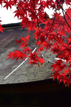 定光寺②