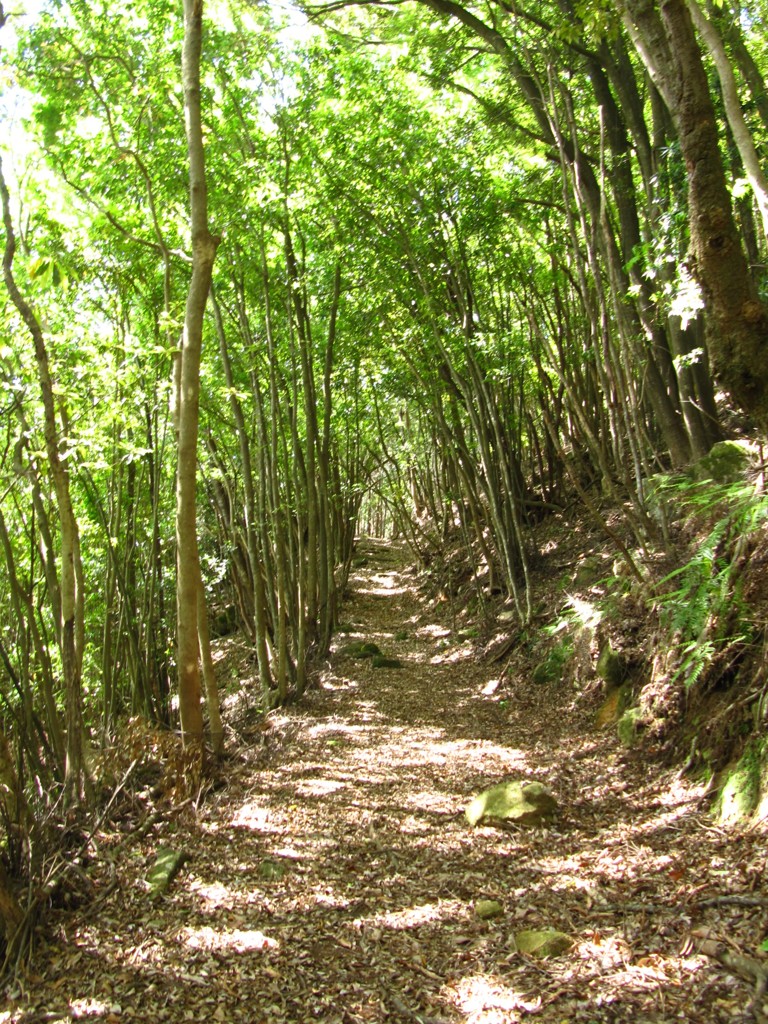 三木里峠