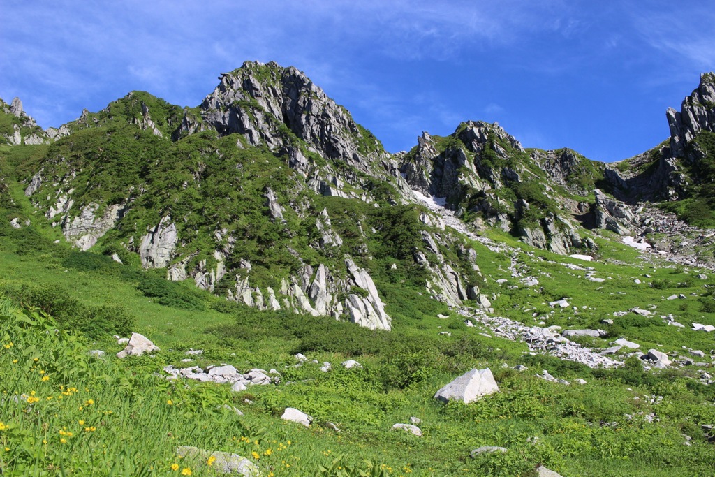 夏山！