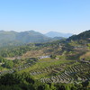 丸山千枚田
