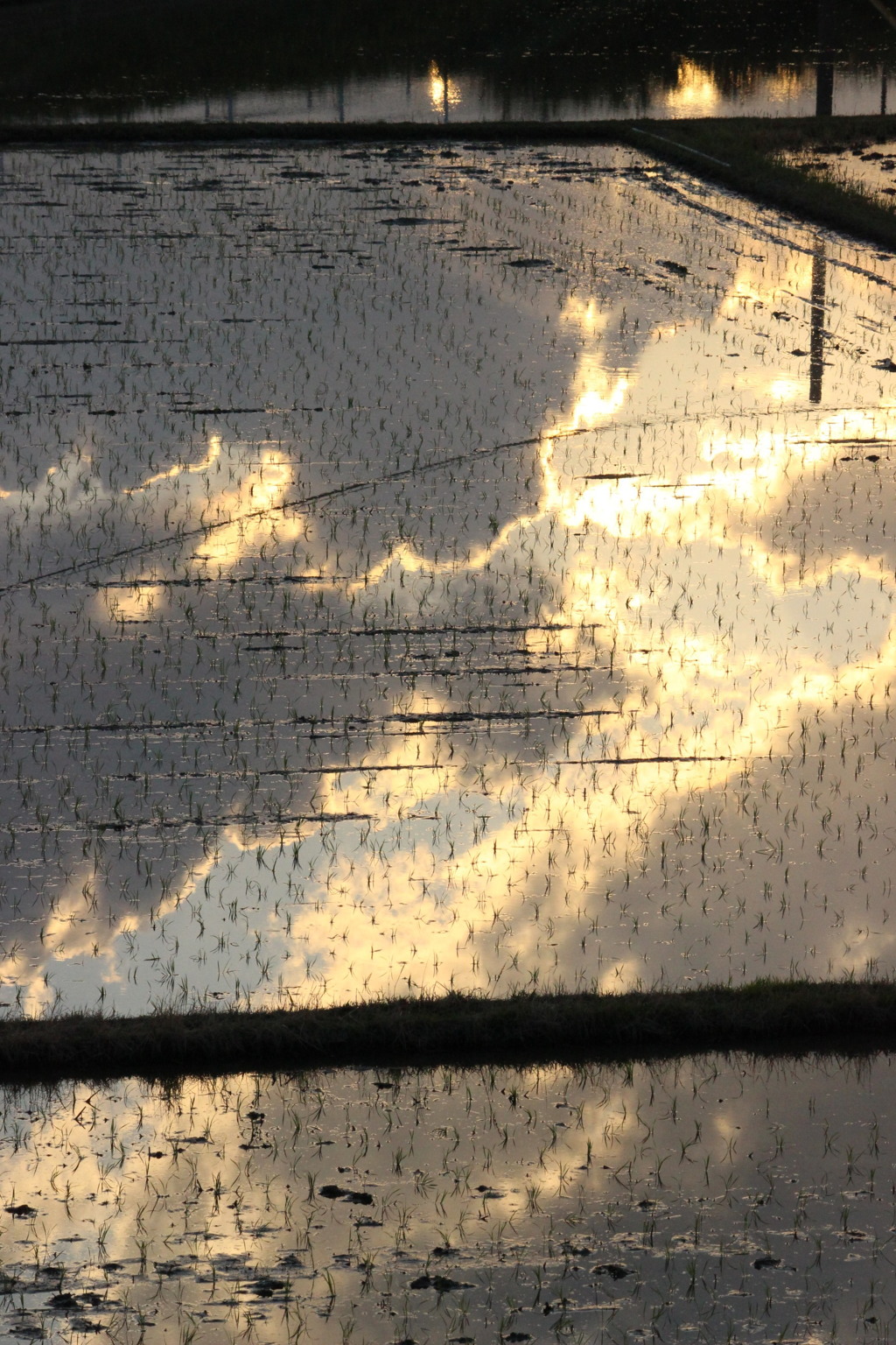 雲が流れて