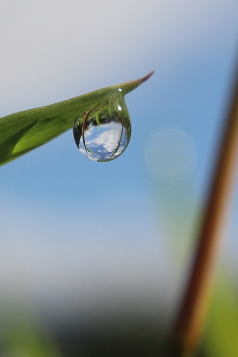 雨上がり　その２