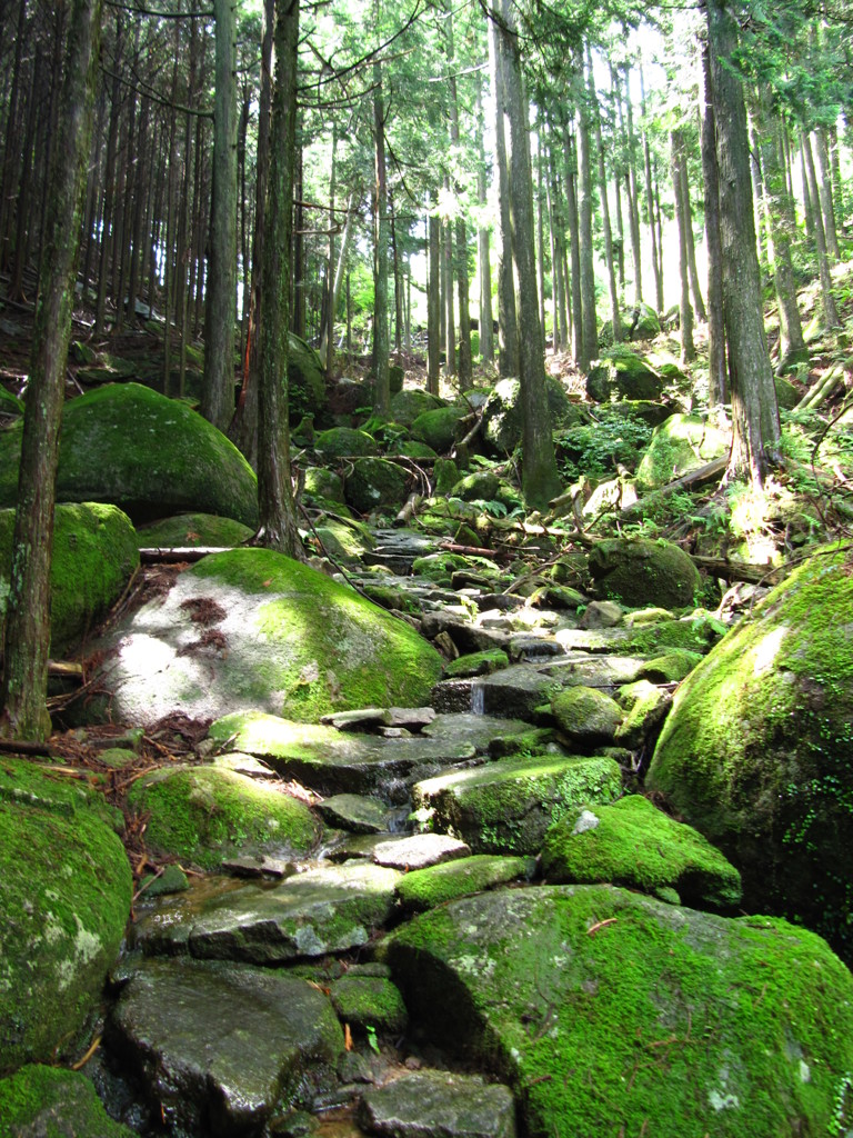 八鬼山越え