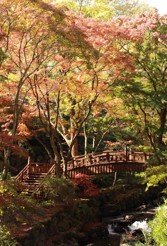 熱海梅園の紅葉