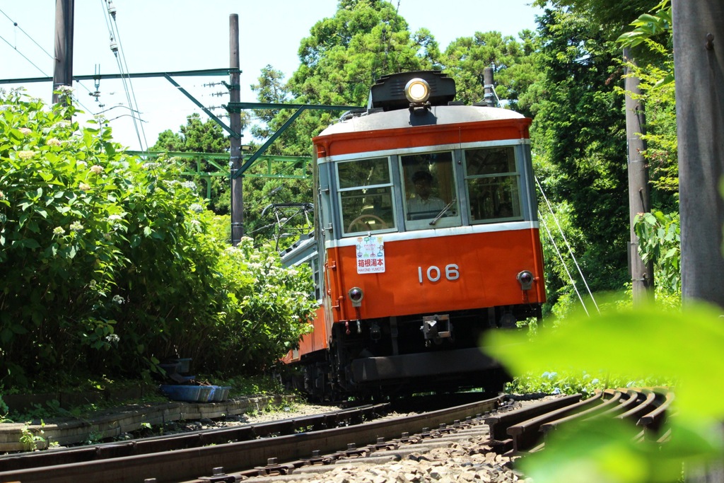 あじさい電車