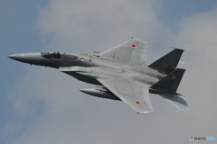 F15