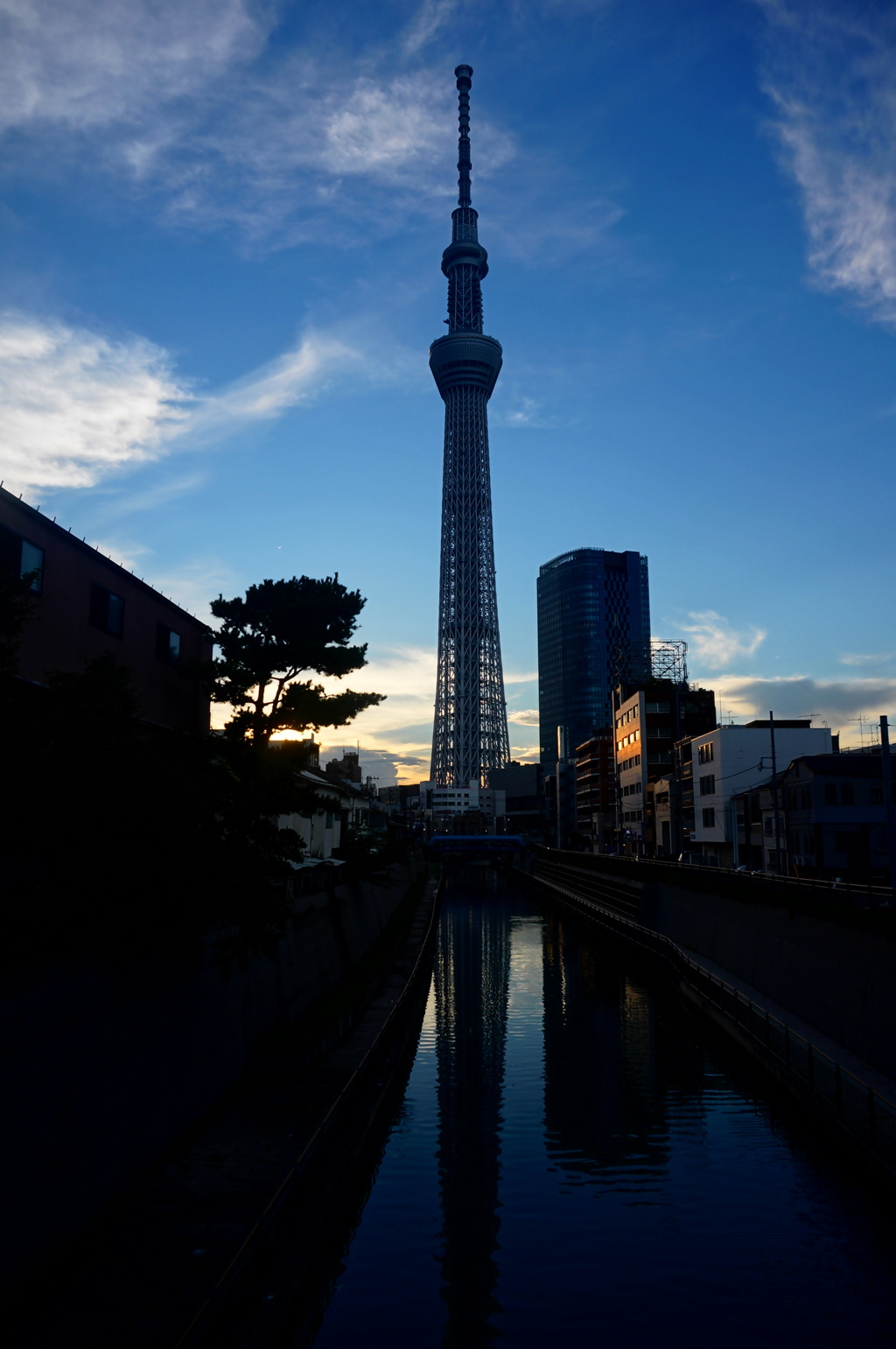 逆さスカイツリー